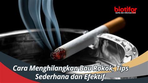 5 Jurus Jitu Hilangkan Bau Rokok di Rumah Beserta Cara .